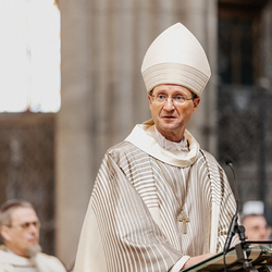 Diakonenweihe 2024 / Erzdiözese Wien/ Schönlaub