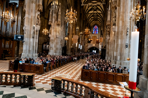 Erzdiözese Wien/Schönlaub