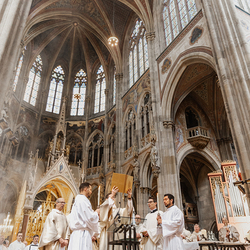 Diakonenweihe 2024 / Erzdiözese Wien/ Schönlaub