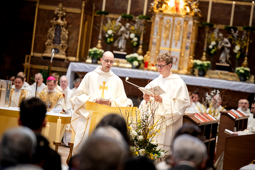 Priesterweihe Ambruster / Erzdiözese Wien/Schönlaub