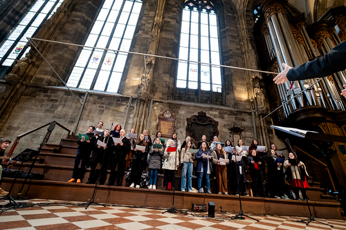 Erzdiözese Wien/Schönlaub