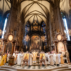 Göttliche Liturgie Stephansdom