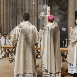 Diakonenweihe 2024 / Erzdiözese Wien/ Schönlaub