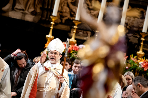 Erzdiözese Wien/Schönlaub