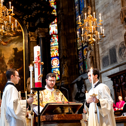 Te-Deum Papst Leo XIV / Erzdiözese Wien/Schönlaub, Stephan Schönlaub