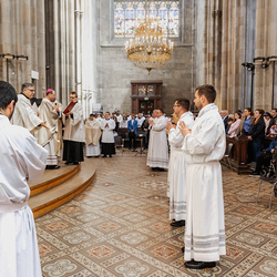 Diakonenweihe 2024 / Erzdiözese Wien/ Schönlaub